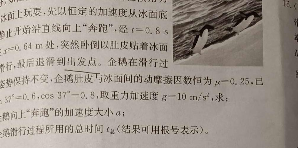 2024届炎德英才大联考湖南师大附中模拟试卷(二)数学.考卷答案