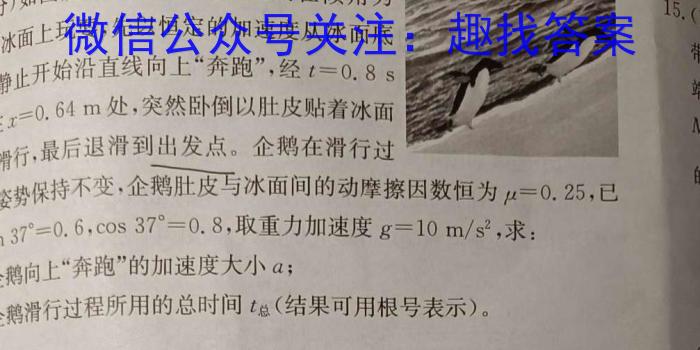 九师联盟·2024届高三2月质量检测数学h