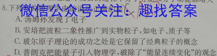 河南省某校2023-2024学年第一学期九年级第三次月考试卷（X）数学