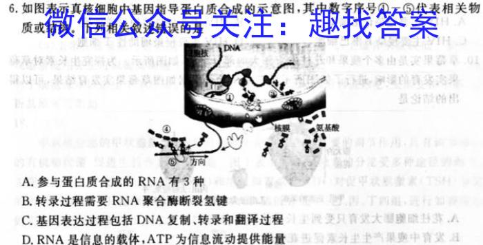 江苏省淮安市2023-2024学年高二上学期期初调研测试生物试卷答案