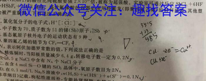 2024届高考滚动检测卷 新教材(六)化学