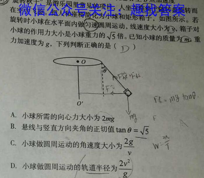 安徽省2024届耀正优+12月高三名校期末测试数学