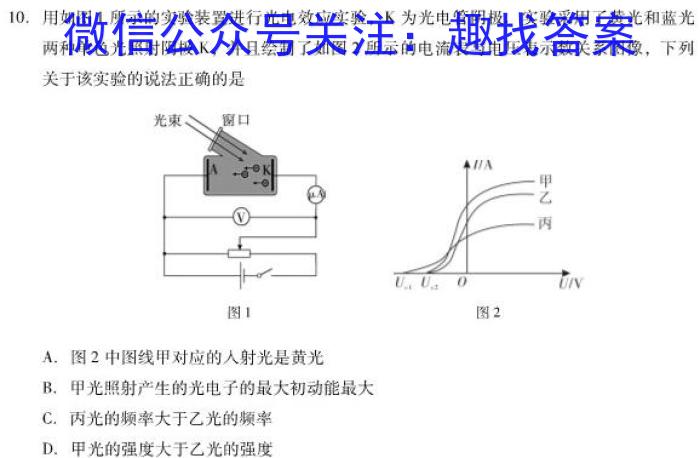 2024届名师原创分科模拟 新S4(四)物理`