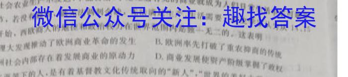 贵州省黔东南州2024-2023学年度高一第二学期期末文化水平测试历史