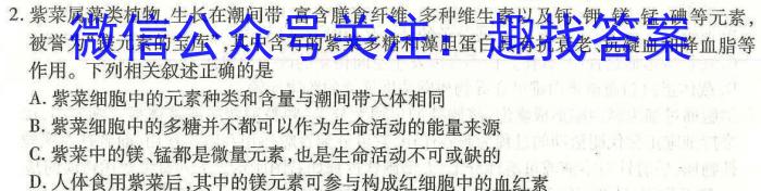 2024届广东省湛江市第一中学高三上学期开学考试生物