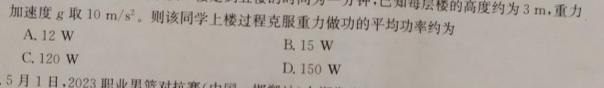 重庆市新高考金卷2024届全国Ⅱ卷适应卷(一)1数学.考卷答案