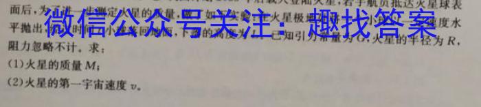 河南省新高中创新联盟TOP二十名校计划2024届高三2月联考数学