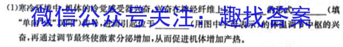 湘豫名校联考2024届高三上学期8月入学摸底考试生物