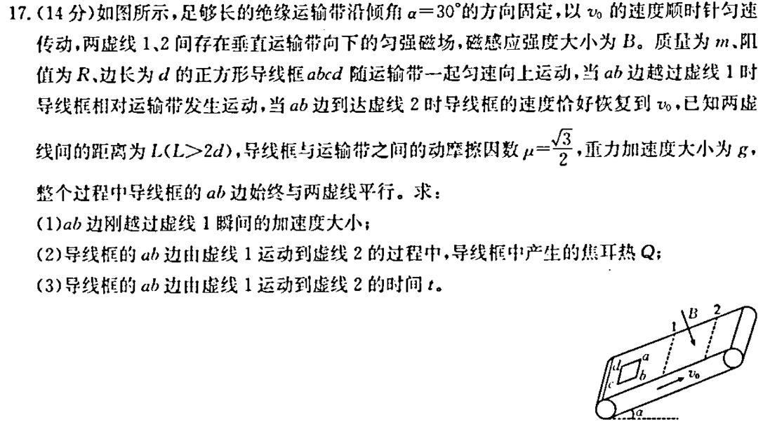 河北省24届九校联盟高三期中(24-136C)数学.考卷答案