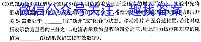 江西省新余市2023-2024学年度实验中学初三入学（考试）测试.物理