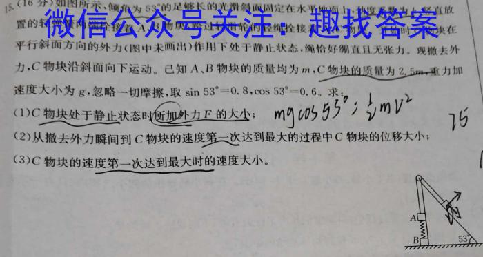 河北省沧衡八校联盟高三年级2023~2024学年上学期期中考试(24-138C)数学