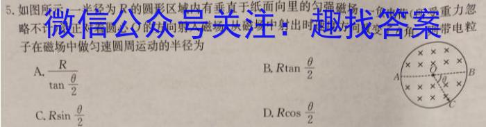 中学生标准学术能力诊断性测试2024年1月测试(新高考)数学