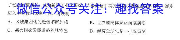 2024届分科综合检测卷(四)历史