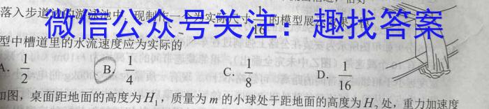 2024届耀正文化名校名师模拟卷(八)数学