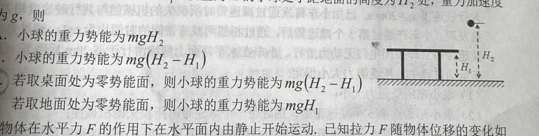 2024届武汉市九年级适应性训练题数学.考卷答案