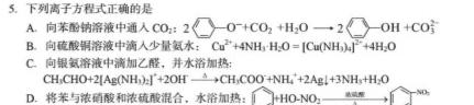 全国大联考2024届高三全国第一次联考 1LK-QG化学