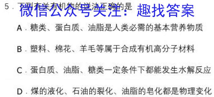湛江第一中学2024届高三开学考试化学