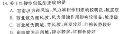 百校大联考·全国百所名校2024届高三大联考调研试卷(一)QG-1政治y