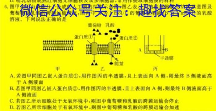2023-2024学年怀仁一中高三年级摸底考试（24010C）生物