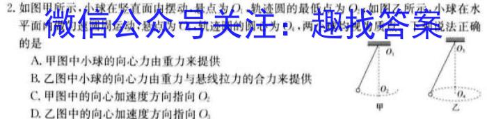 山东省2024届高三11月联考数学