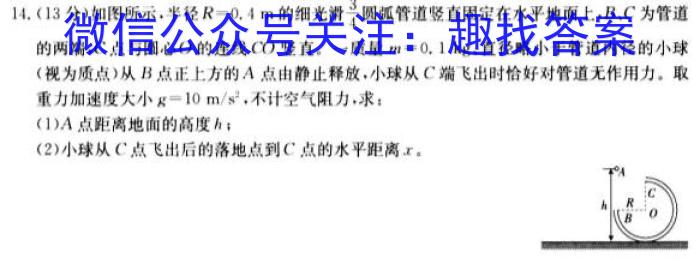 河北省2023-2024学年高一（上）质检联盟第四次月考数学