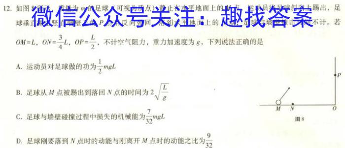 湖南省开卷文化2024高考冲刺试卷(一)数学