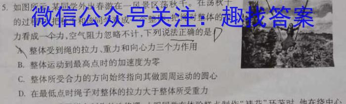 九师联盟 河南省中原名校联盟2024届高三上学期11月教学质量检测数学