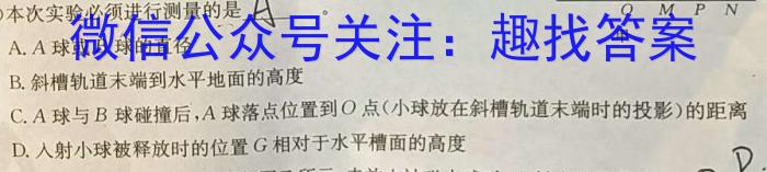 河南省2024年九年级「决战中招」模拟试卷数学