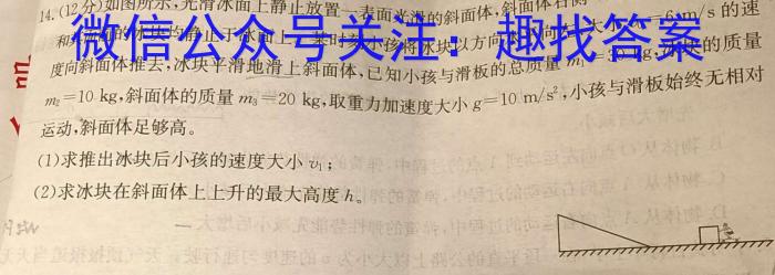 河南2024届高三年级8月入学联考（23-10C）英语试卷及参考答案数学