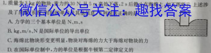 2024届炎德英才大联考长郡中学高三月考(一)f物理