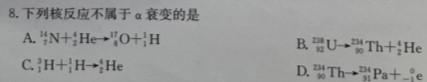 福建省2024届高三12月质量检测数学.考卷答案