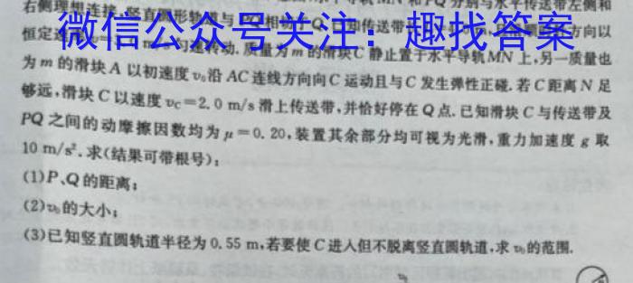2024届吉林省白城毓才实验高中高三阶段考(4041C)数学