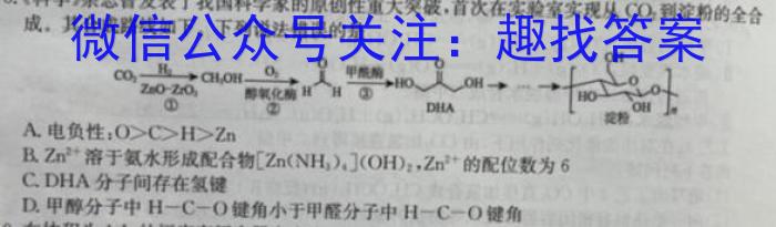 2024届分科综合检测卷(四)化学