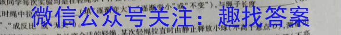 名校计划2024年河北省中考适应性模拟检测（精练型）数学