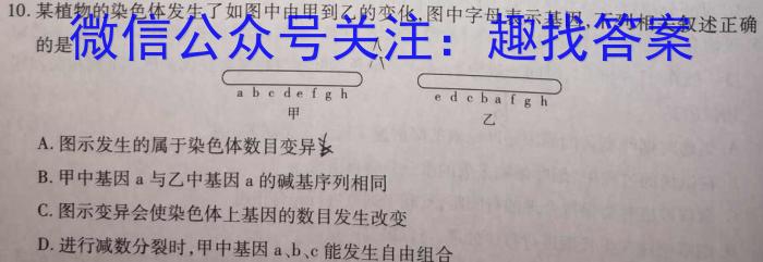 哈三中2024-2023学年度下学期高一学年期末考试生物