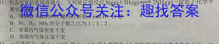 2024届高考滚动检测卷 新教材(四)化学