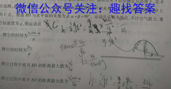 陕西省商洛市2024届高三第五次模拟检测(24-441C)数学