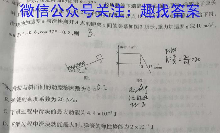 2024年河南省普通高中招生考试试卷（适应卷）数学