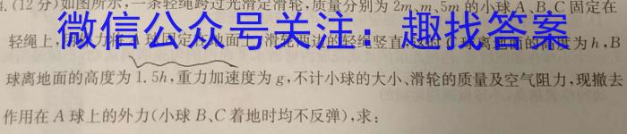 衡水金卷先享题分科综合卷2024年答案新教材B3数学