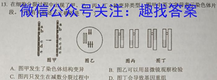 衡水金卷先享题2023-2024高三一轮40分钟复习单元检测卷 新教材三生物