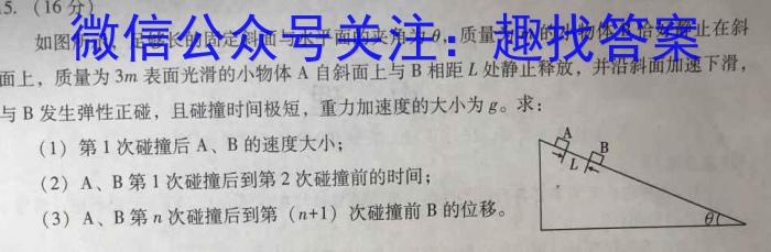 福建省2023~2024学年福建百校联考高三正月开学考数学