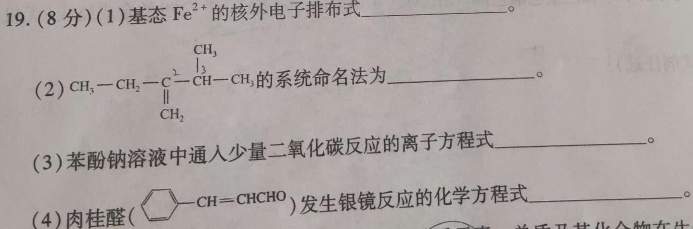 全国大联考2024届高三全国第一次联考 1LK-QG化学