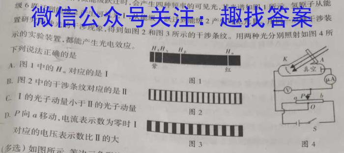 [桂柳文化]2024届高考桂柳鸿图模拟金卷(一)数学