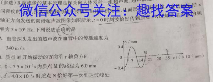 贵州省贵阳第一中学2024届高考适应性月考卷(七)(白黑黑白白黑白)数学