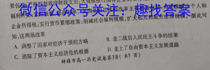 2024届名师原创分科模拟 新S4(五)&政治