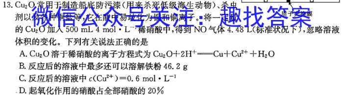 2024届高考滚动检测卷 新教材(五)化学