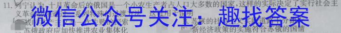 甘肃省定西市2022~2023学年度第二学期八年级期末监测卷(23-01-RCCZ13b)历史