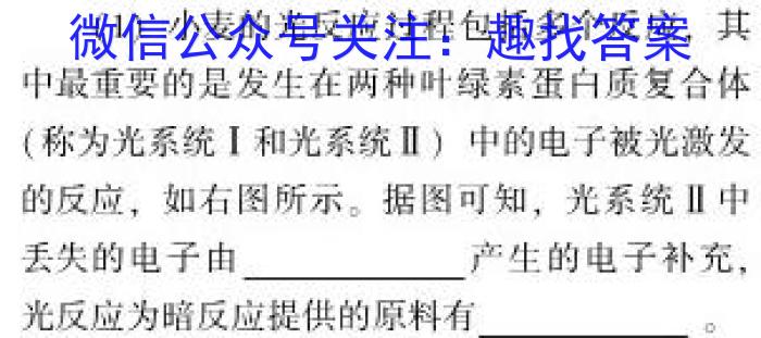2024届高三第一轮复习周测卷·物理[24·G3ZCJ·物理-HKB-必考-SX](6-10)生物