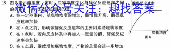 全国大联考2024届高三第一次联考（1LK·新教材老高考）生物试卷答案