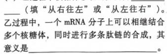 辽宁省铁岭市六校2022-2023学年下学期高二期末考试(24-05B)生物